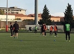 Programma settimanale degli allenamenti