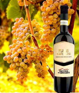 Fiano di Avellino Docg