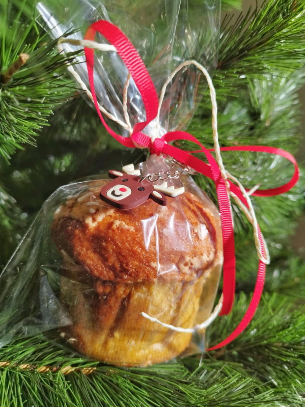 Panettoncino uvetta e canditi