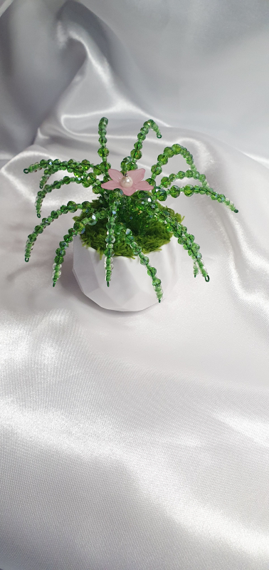 Mini piantina di cristalli 1