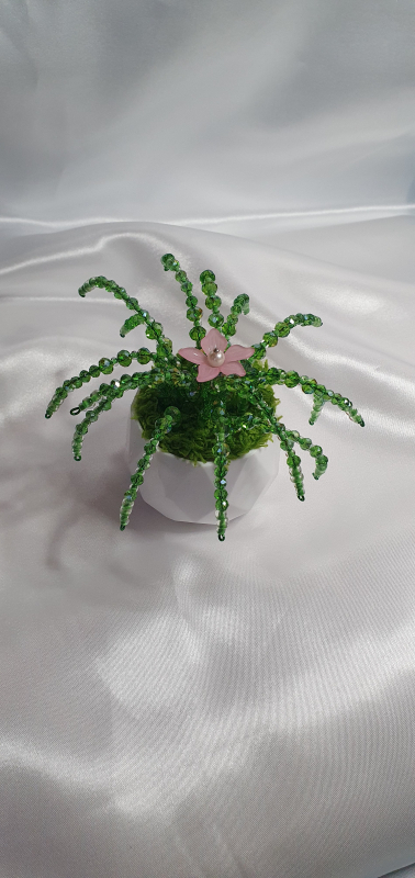 Mini piantina di cristalli 1