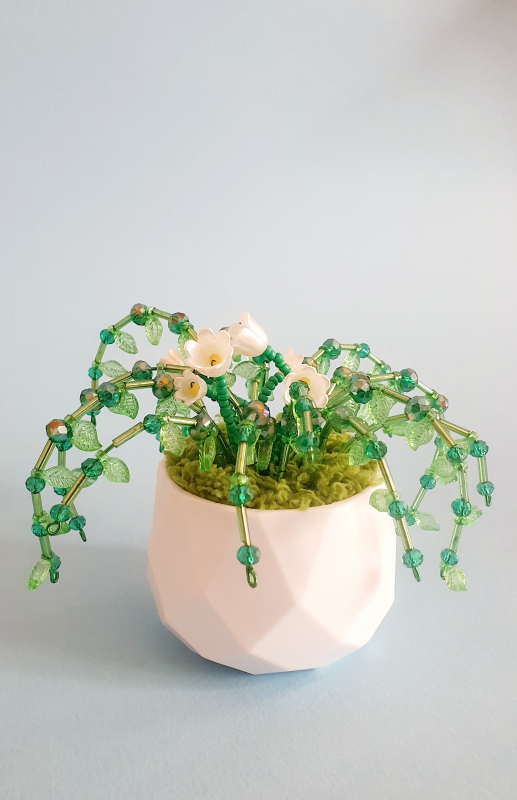 Mini piantina di cristalli 2