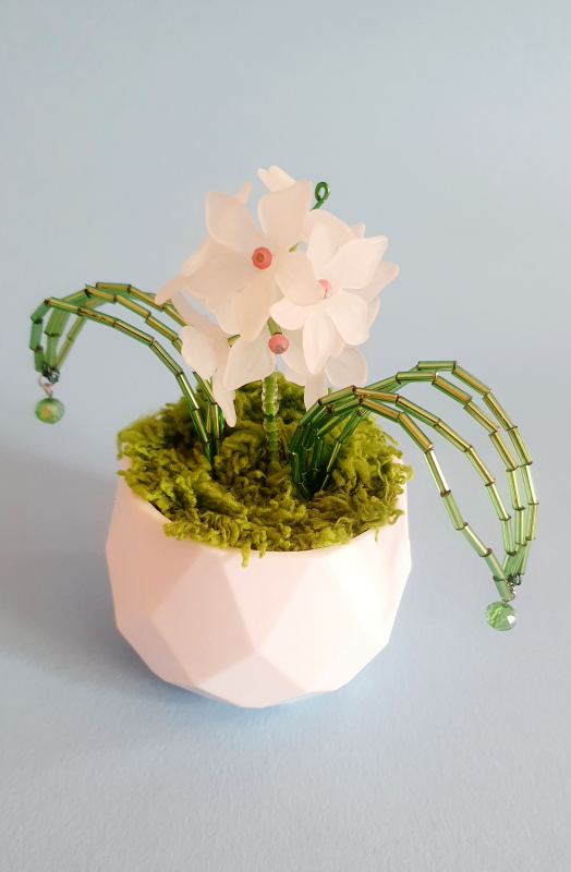 Mini piantina di cristalli 3