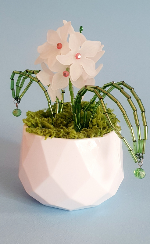 Mini piantina di cristalli 3