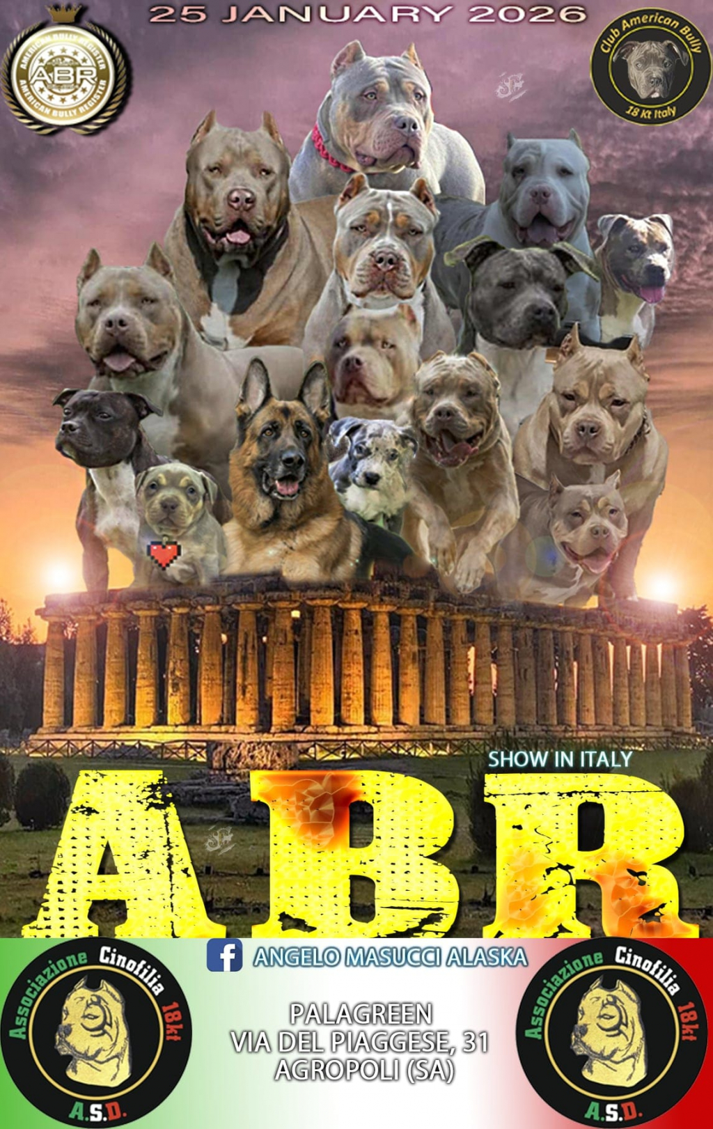 Iscrizione per 3 cani: 75 eur (25 eur a cane)