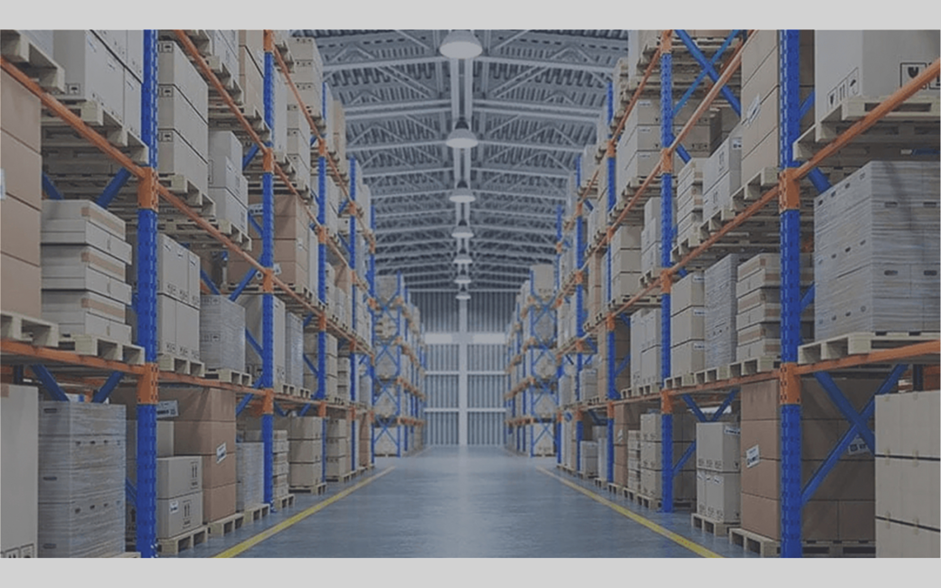 C.S.L. Centro Servizi Logistici SRLS Eccellenza in Logistica e  Facility Management